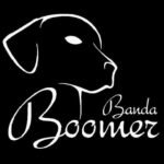 Banda Boomer